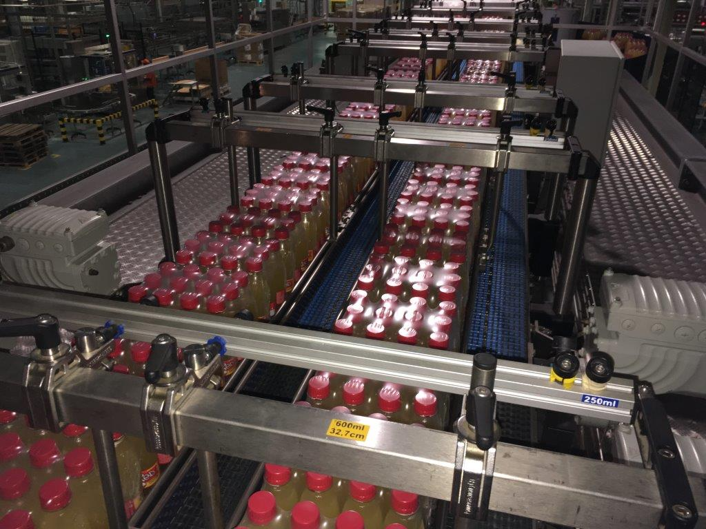 Feed Processing Plant Setup for AgriTech Kenya